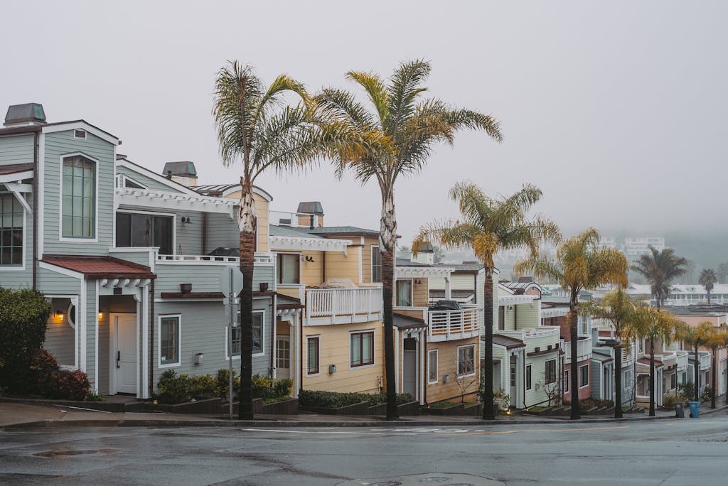 A picturesque suburban street with colorful houses and palm trees enveloped in foggy weather.